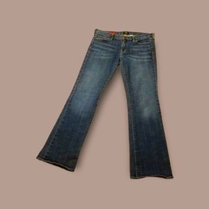 J.Crew Hipslung blue jeans